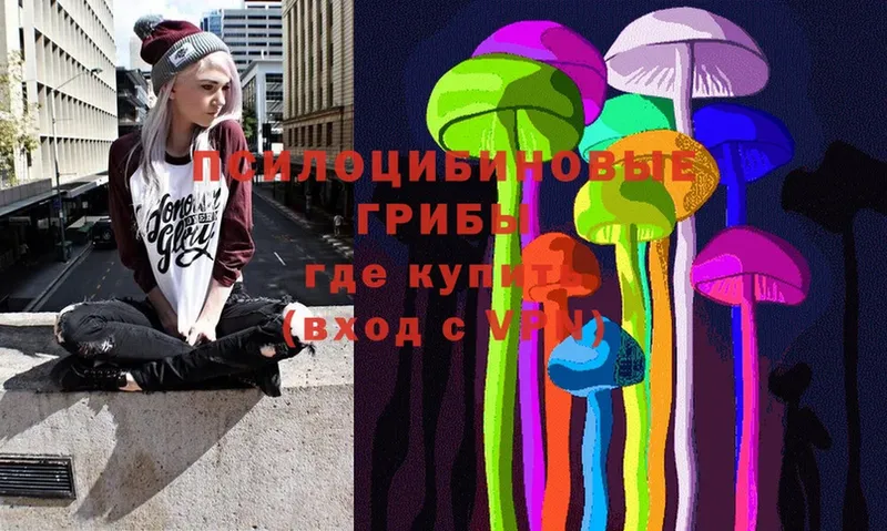 Псилоцибиновые грибы Cubensis  хочу   Власиха 